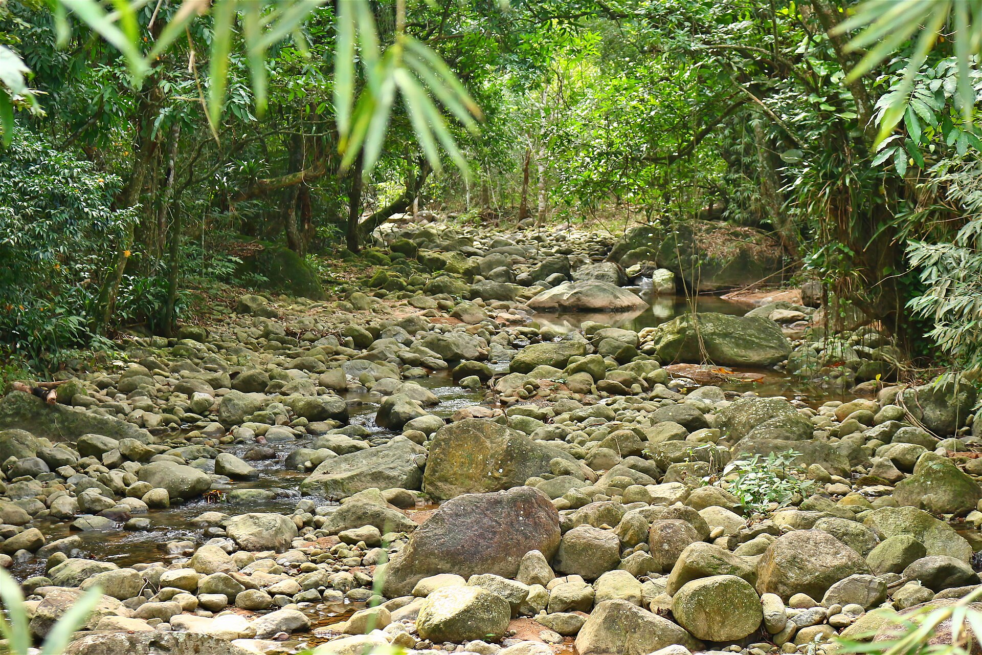 Imagem de referência de Área de Proteção Ambiental Rio D'Ouro, descrito nos dados abertos como àrea de Proteção Ambiental Rio D´Ouro de nível Municipal, localizado (a) em Nova Iguaçu (RJ)
