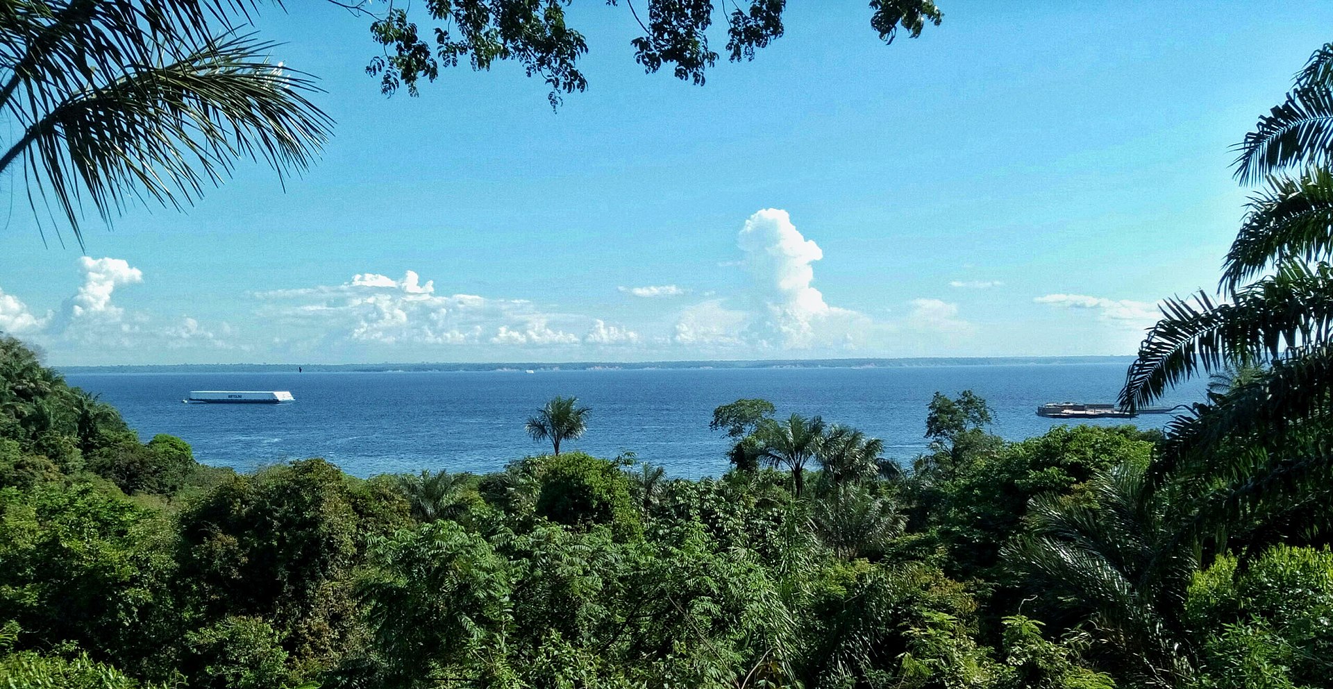 Imagem de referência de Área de Proteção Ambiental Taruma/Ponta Negra, descrito nos dados abertos como área de Proteção Ambiental Taruma/Ponta Negra de nível Municipal, localizado (a) em Manaus (AM)